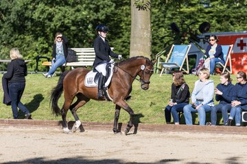 Bild 98 - Pony Akademie Turnier